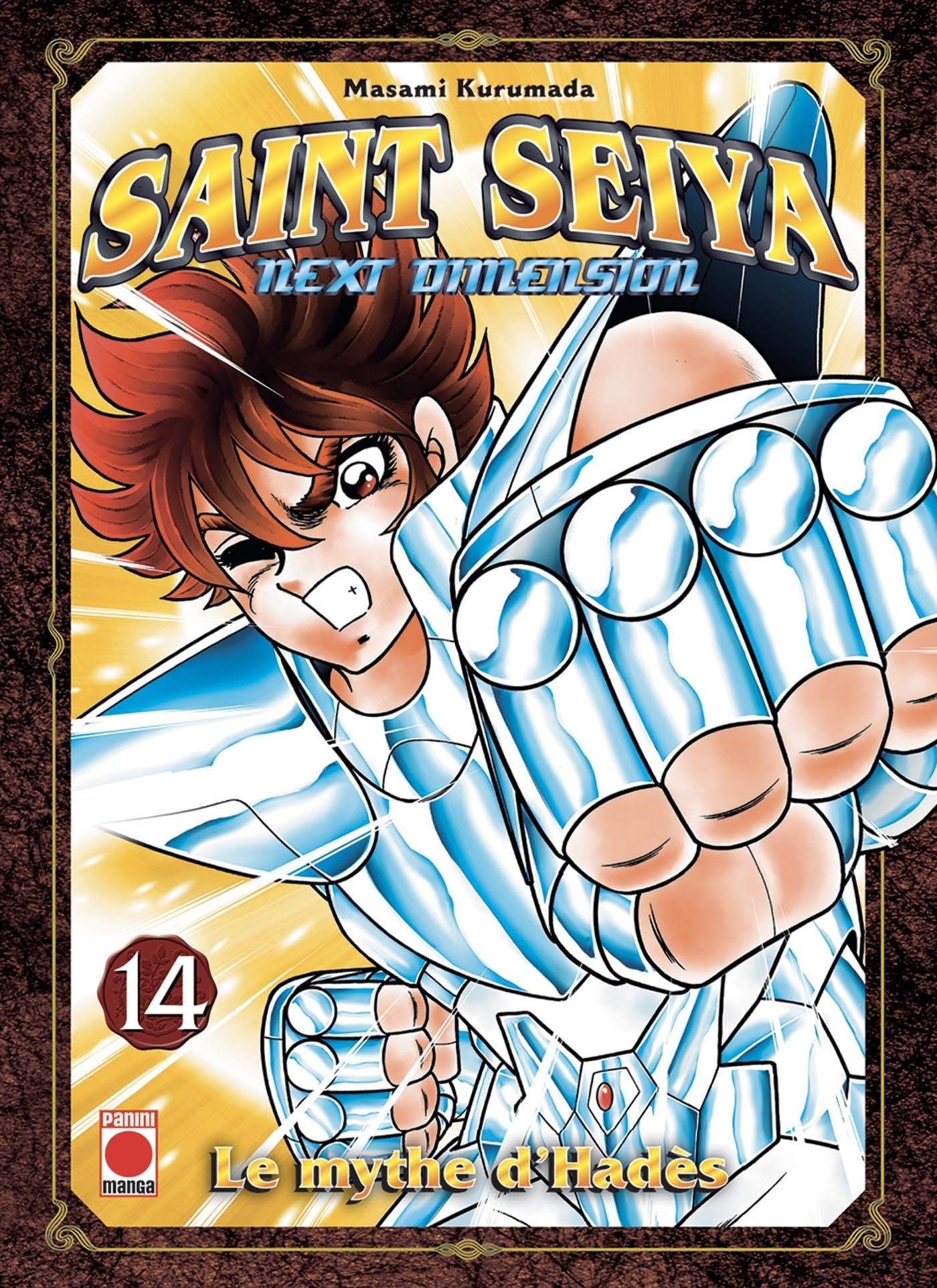 Saint Seiya Next Dimension T14 : Kurumada, Masami: Amazon.ca: Books