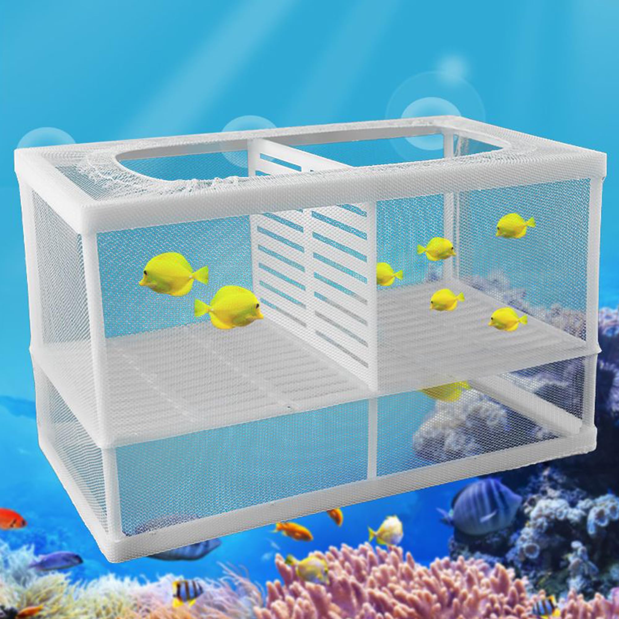 Scatola di Isolamento Allevatore di Pesci Scatola di Allevamento di Pesci Acquario Rete per Incubatoi Isolare Piantine e Sostenere l'incubazione e la Riproduzione con Ventose (26 * 15 * 15 cm)