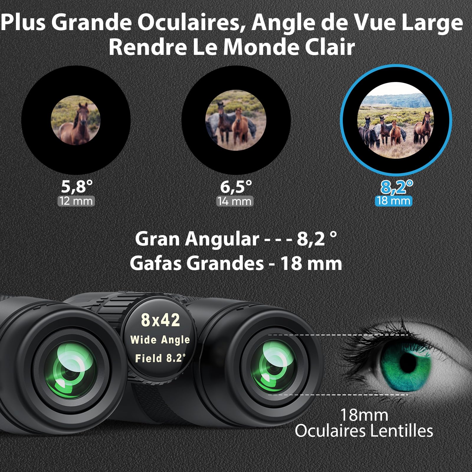 Jumelles Adultes Puissante Astronomiques Etanche: Timorn Jumelles Compactes Puissantes Grand Vue avec Adaptateur Téléphonique Trépied - 8x42 HD Jumelle Observation Oiseaux pour Chasse Randonnee | Lentilles FMC pour une Image Claire et Nette, Large Champ d