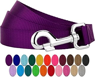 Country Brook Petz - Everyday Nylon Dog Leash - Strong, Durable, Solid Color Leash with Easy to Use Snap - 25+ Colors (1 Inch Wide, 6 Foot, Purple)