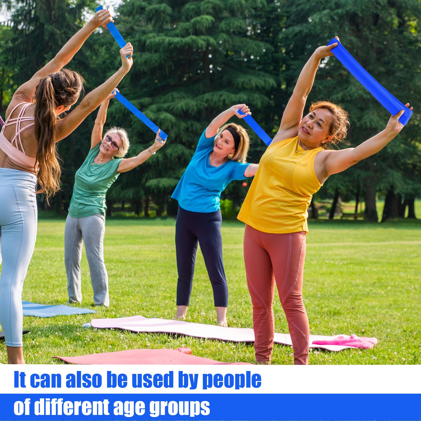 Deekin 20 Bandas de Resistencia, Bandas de Resistencia, Equipo de Ejercicio, Banda elástica para Mujeres y Hombres, Fitness en casa, Gimnasio, Yoga (Azul, 25-30 Libras)