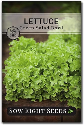 Sow Right Seeds - Ensaladera verde con semillas de lechuga para plantar - Paquete de reliquia sin OMG con instrucciones para plantar un huerto en