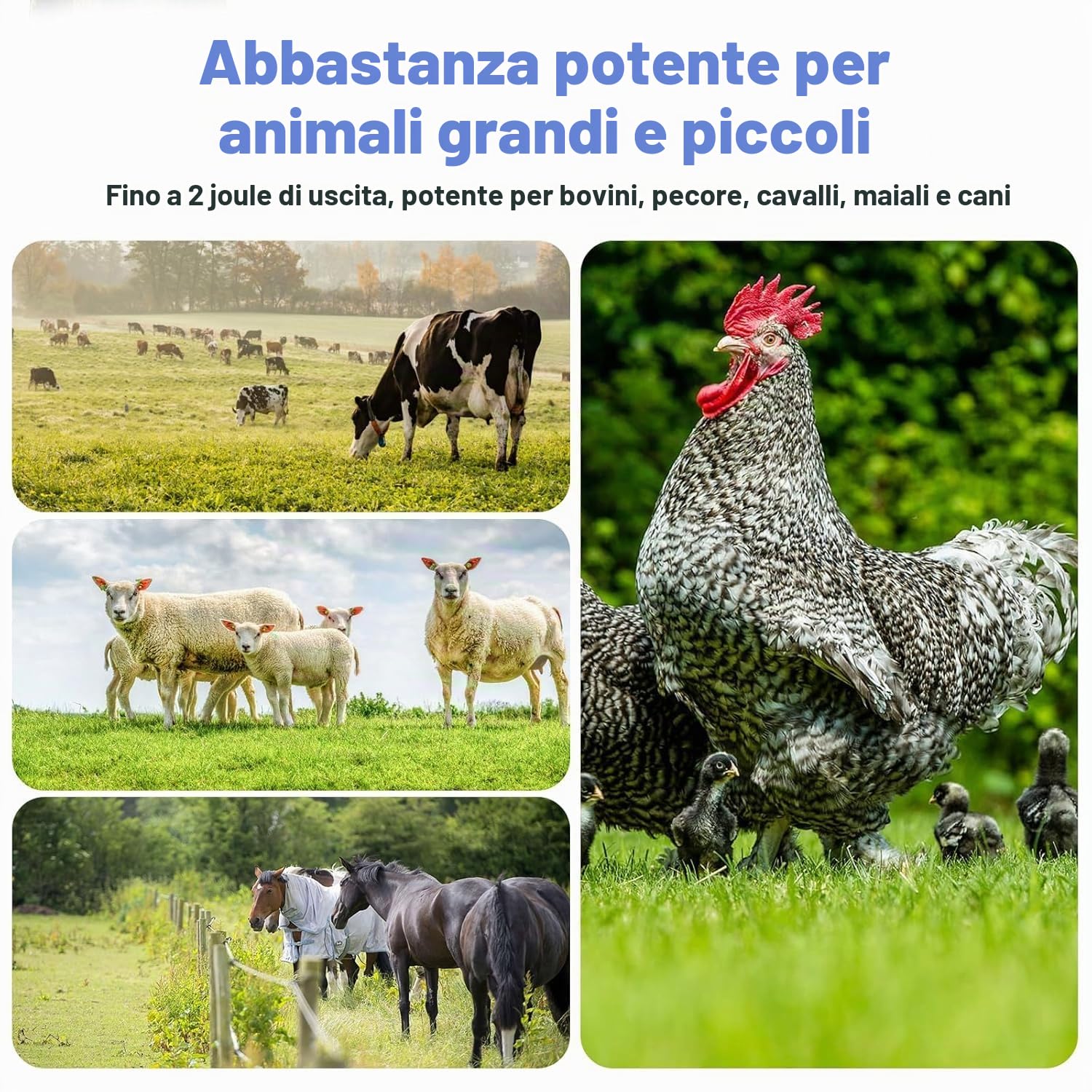 Recinto Elettrico per Animali，Pastore Elettrico Solare Alta Potenza 3 Modalità Energizzatore per Recinzione Elettrica per Contenere il Bestiame e Impedire l'intrusione di Animali Selvatici. (blu)
