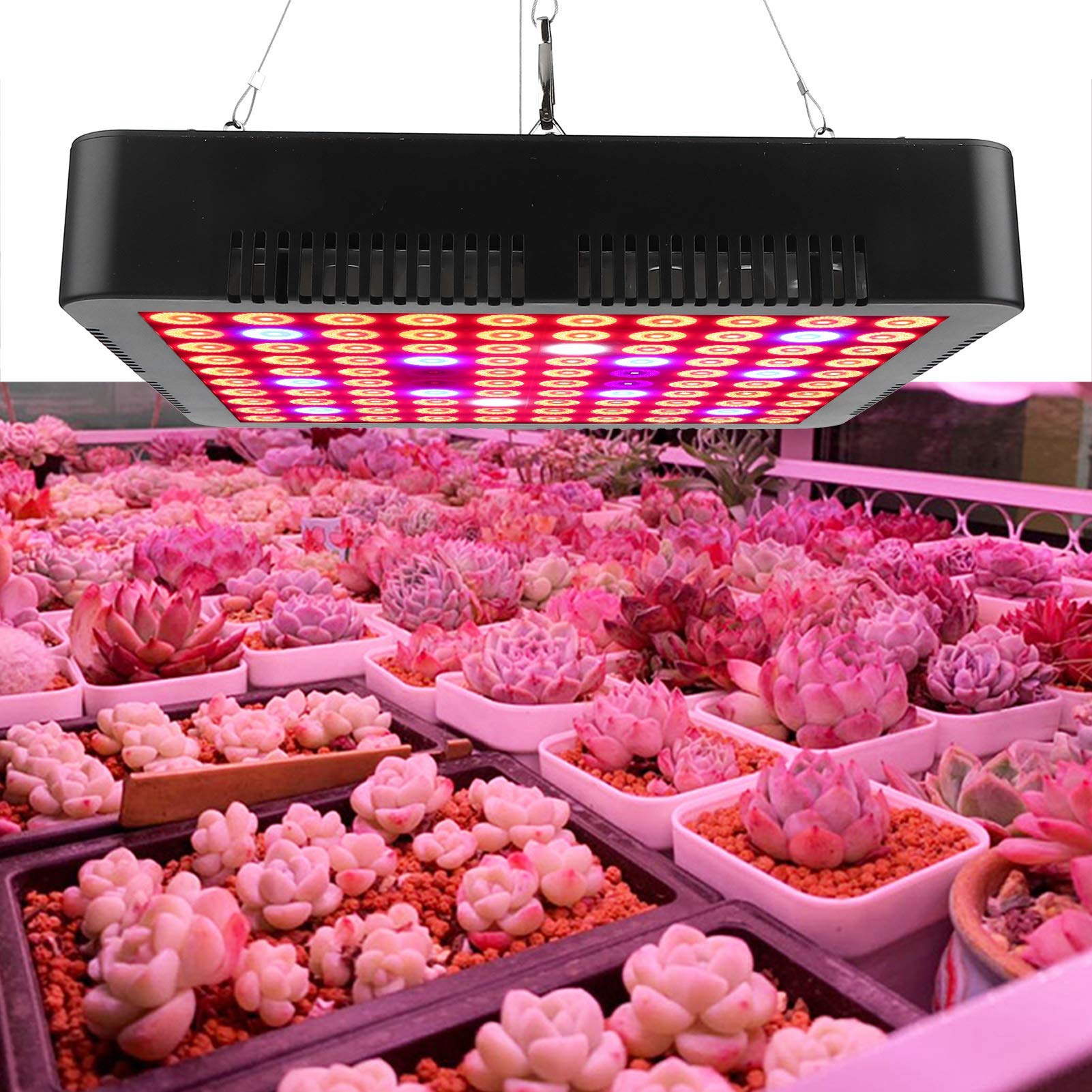Duokon Plant Grow Light, 300W 100LED Chips Grow Lamp Planta de espectro completo Panel LED Accesorio de luces de cultivo 85-264V(EU Plug)