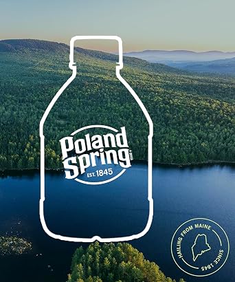 Spring Water 48 Pack - Mini Water Bottles - 8 Fl Oz.