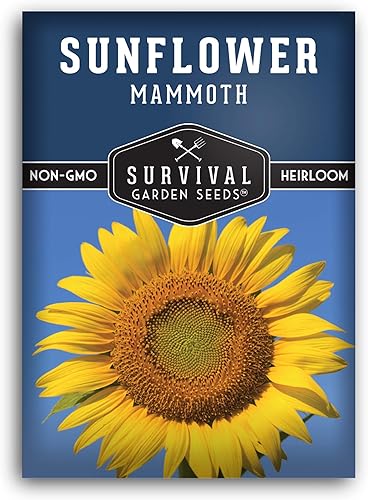 Survival Garden Seeds - Semilla de girasol de mamut para plantar - Paquete con instrucciones para plantar y cultivar enormes flores coloridas en tu
