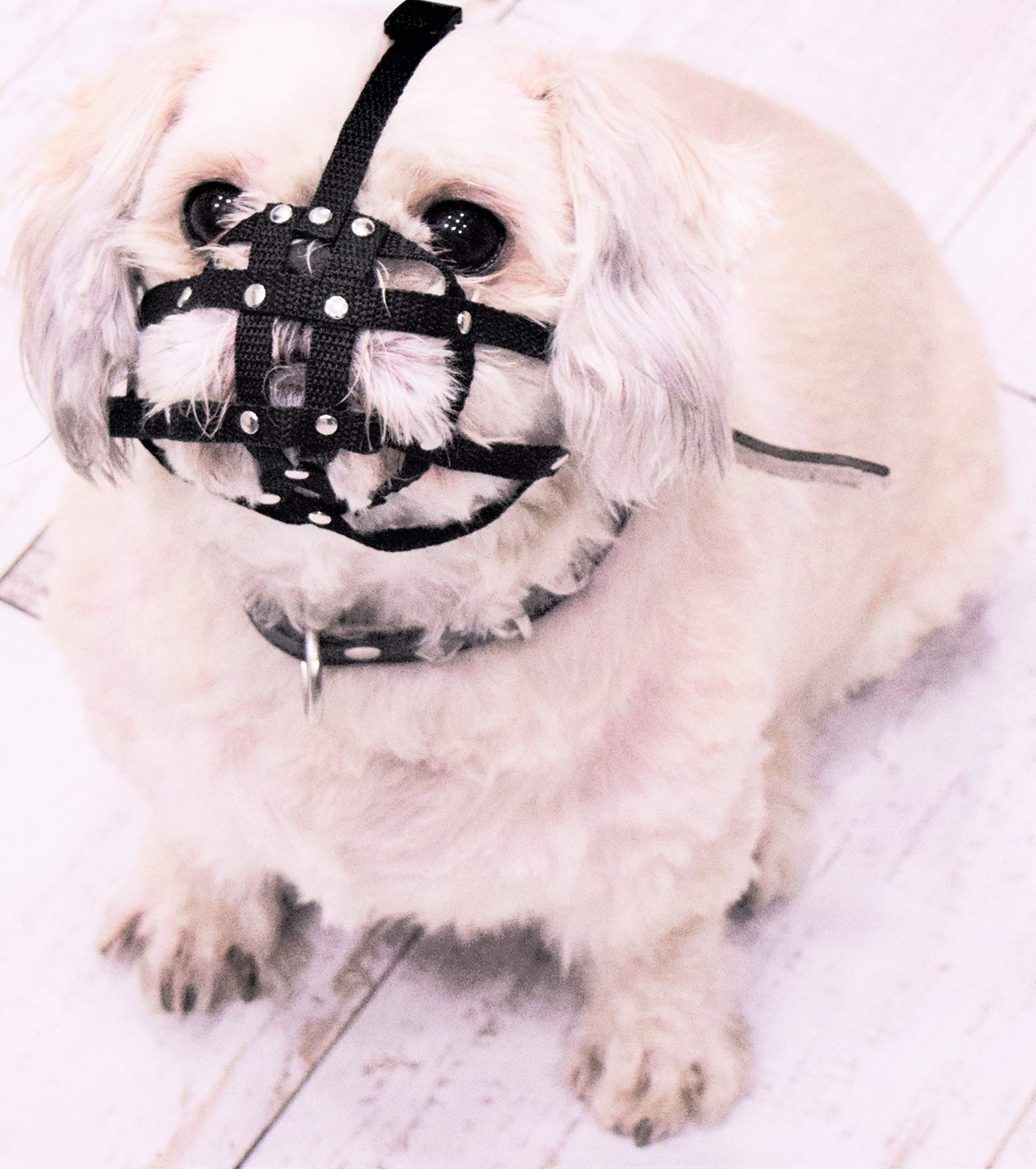 L&J Pets Uk Nylon Strap Dog Muzzle for Shih Tzu, Pug and other flat face faced short snout dogs | Safety and Comfort (M2, Black)