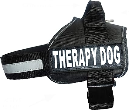 velcro dog vest