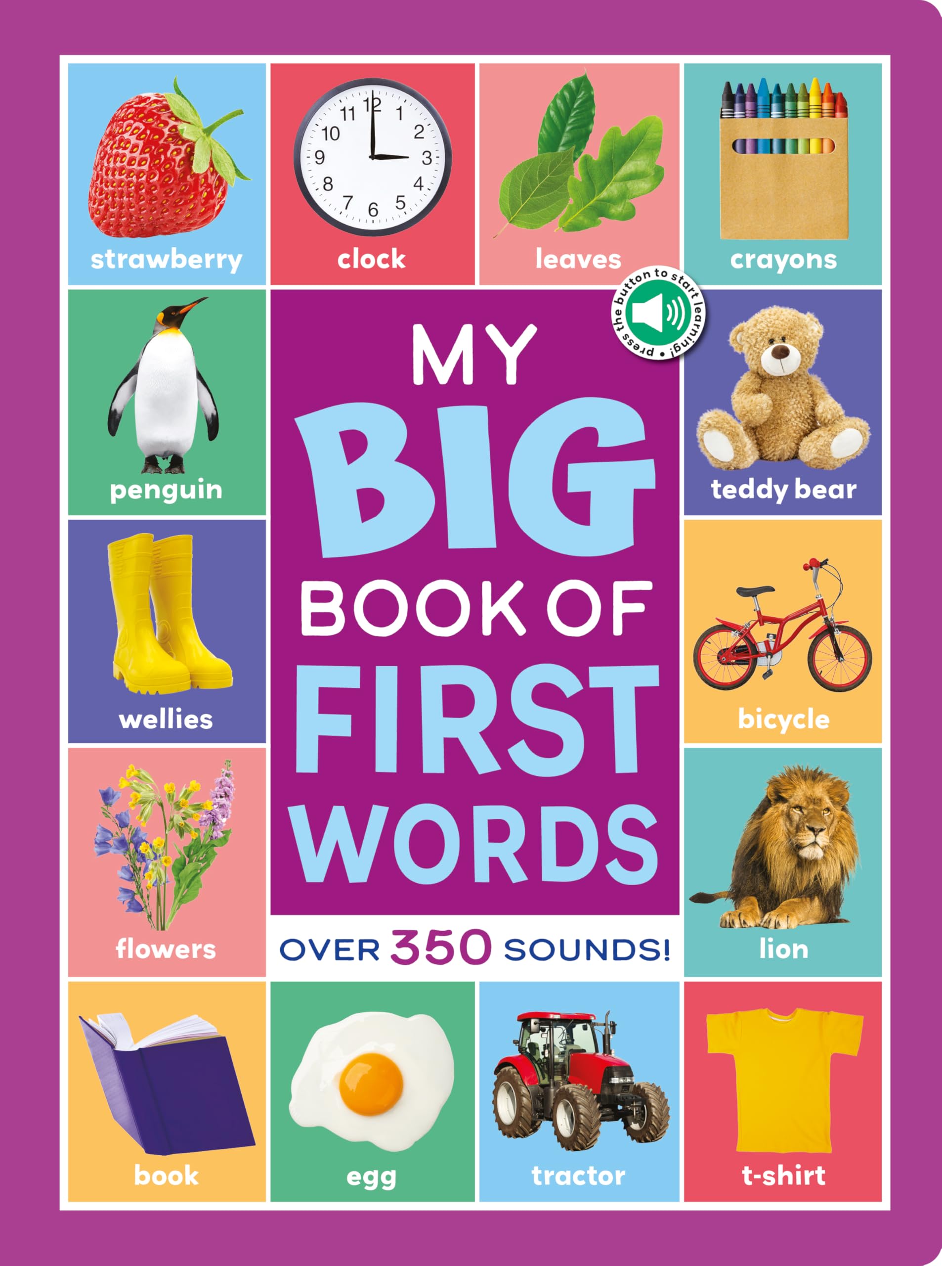 My Big Book of First Words