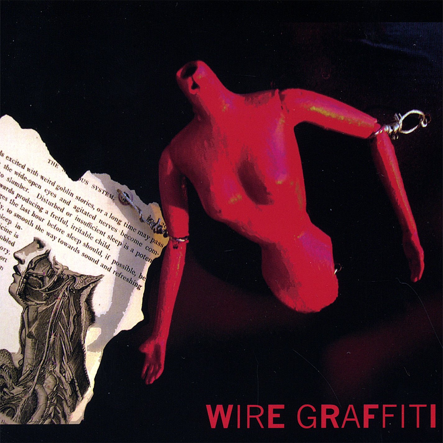 Wire Graffiti [Audio CD] Wire Graffiti; Katherine Sawyer; Rob Tucker; Stev Ohanis; Paul K. Johnson II; Timothy Sanchez and Ric Ocasek