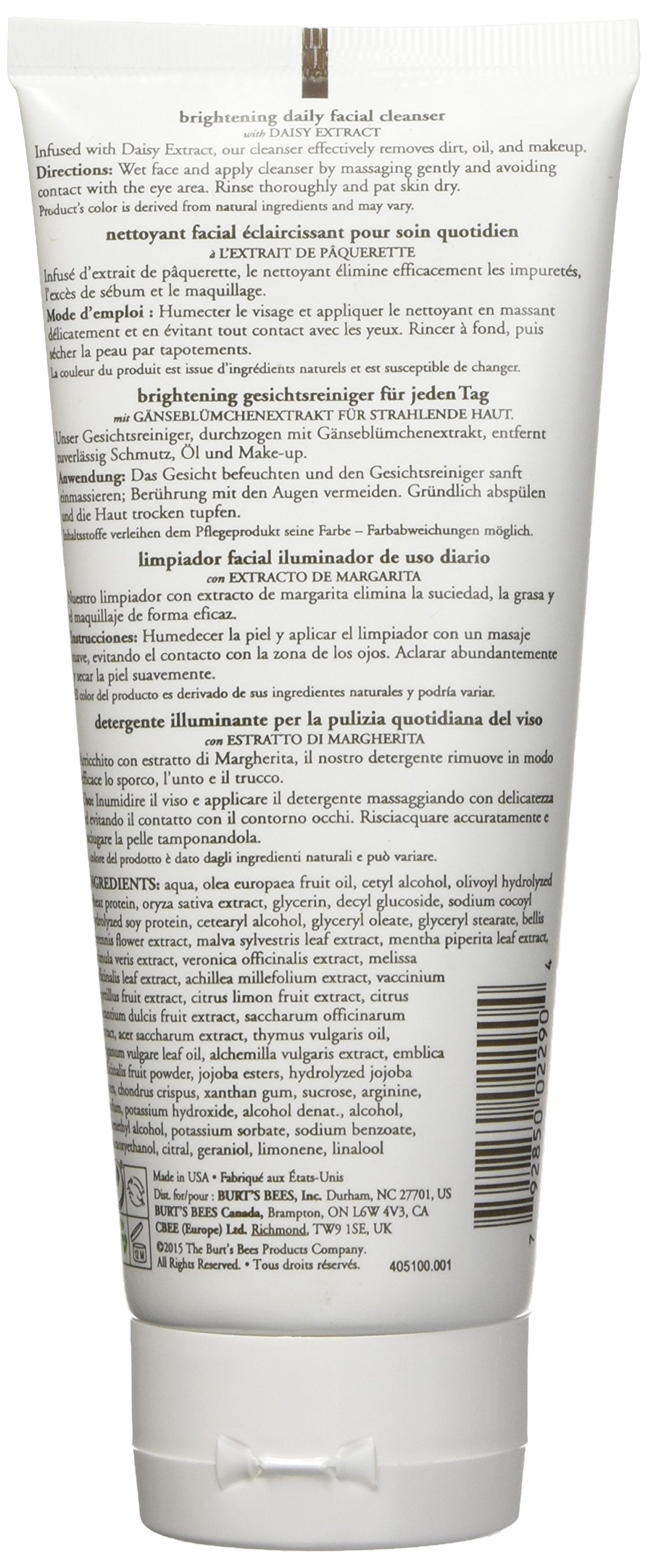 Burt's Bees Brightening Daily Facial Cleanser, 170g