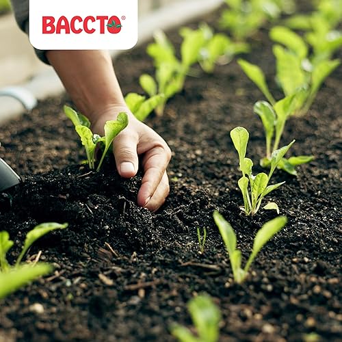 Miniatura 6 de Baccto 1640 - Compost hortícola y estiércol para modificación del suelo, cuidado del césped, camas de jardín y más, bolsa de 40 cuartos de galón