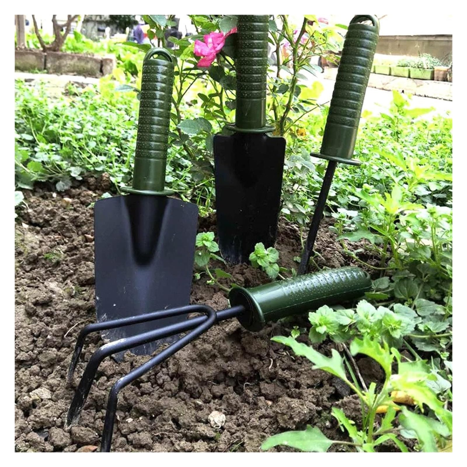 Attrezzi da giardinaggio, attrezzi per trapianto di piante 4 pezzi attrezzi per piante grasse, mini attrezzi da giardino, annaffiatoio per piante grasse come accessori per piante, kit di attrezzi m