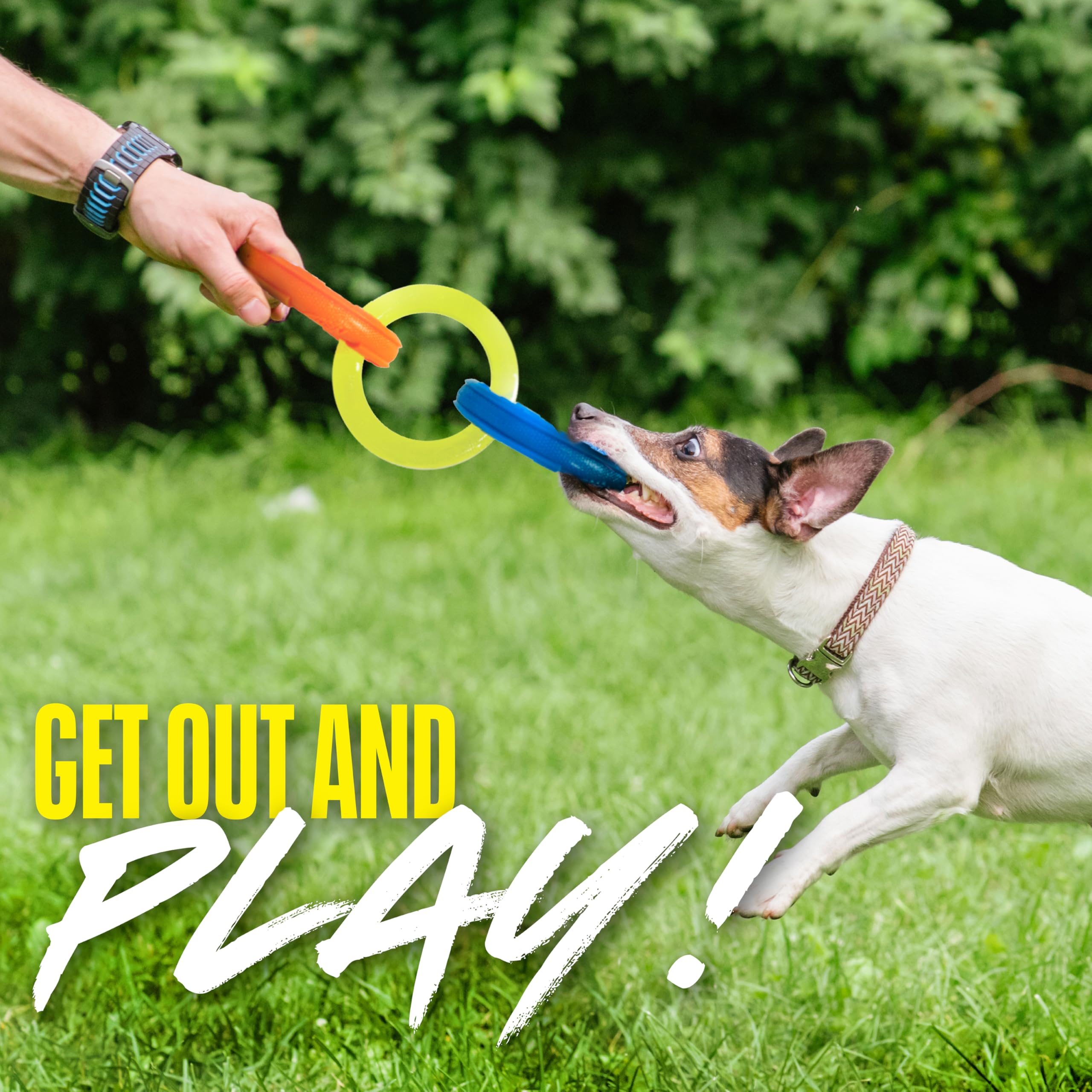 Nerf Dog 29,2 cm 3-Ring-TPR-Zerrer, Hundespielzeug für Welpen, mittelgroße Hunde, interaktives Spielen, blau, grün und orange