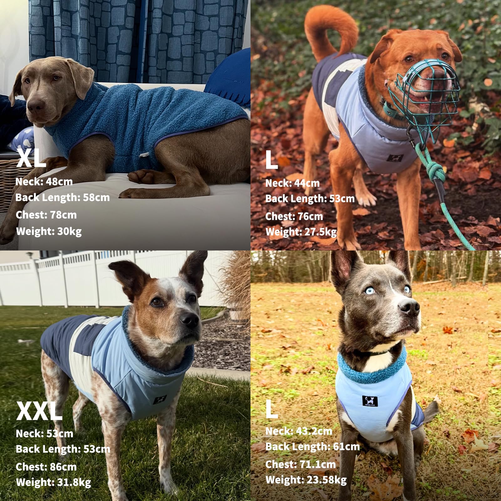 Arblina Abrigo Perros, Chaqueta Perros Reversible e Impermeable, Abrigo para Perros Mediano y Grande con Fleece Cálido, Chaleco Perros con Cremallera de Uso Sencillo, Azul, XXL