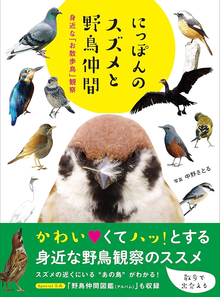 Amazon.co.jp: にっぽんのスズメと野鳥仲間 : 中野さとる: Japanese Books