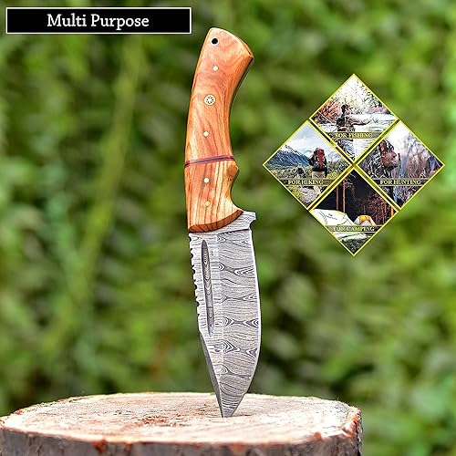 Miniatura 2 de Cuchillo de hoja fija de acero de Damasco hecho a mano con funda de cuero, mango de madera de olivo – 9.75 pulgadas de longitud cuchillo multiusos