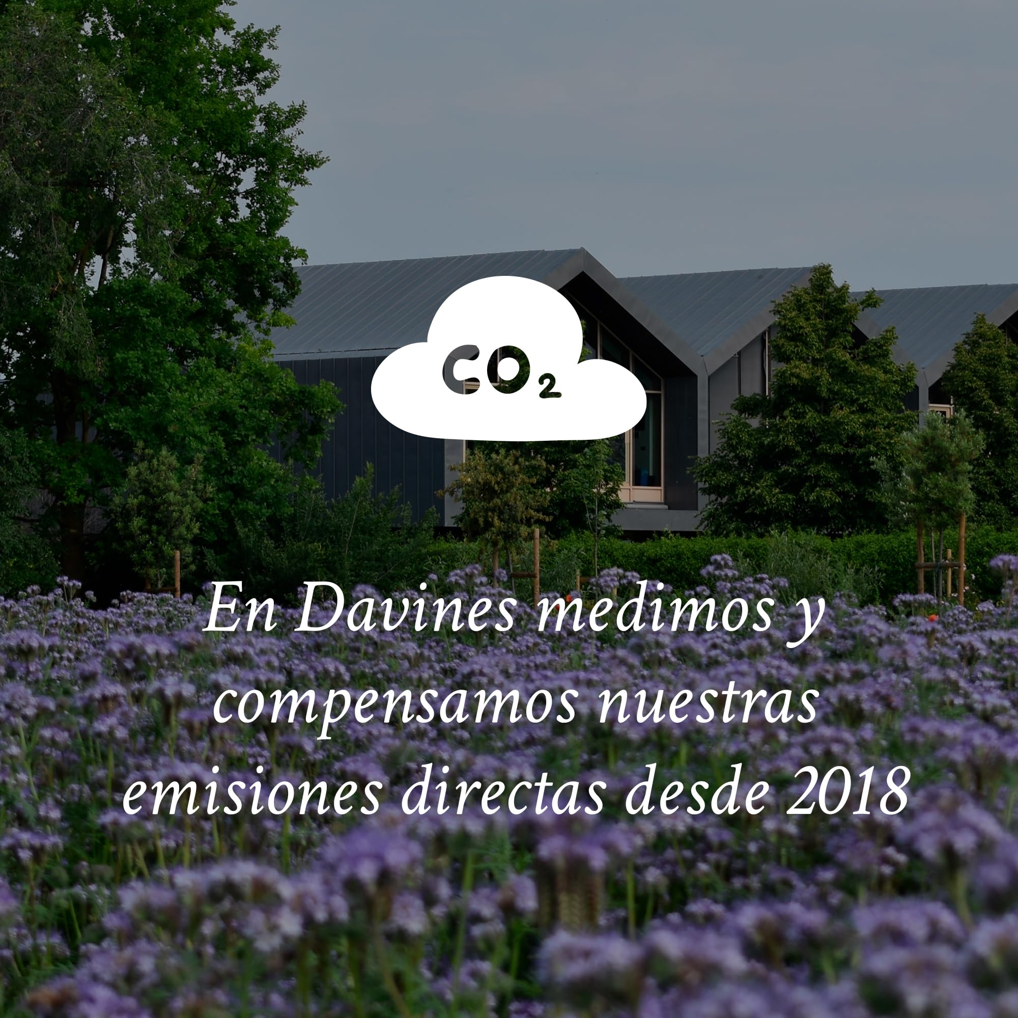 Davines, Spray de Texturización en Seco, 250 ml