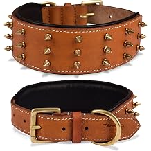 Spiked Leather Dog Collar, Large, Brown, Soft Nappa Padding | Full-grain bridle leather, 2-inch wide, Fit Neck 18.5"-22.5", Adjustable, gold-tone spikes, brass buckle, heavy-duty hardware
