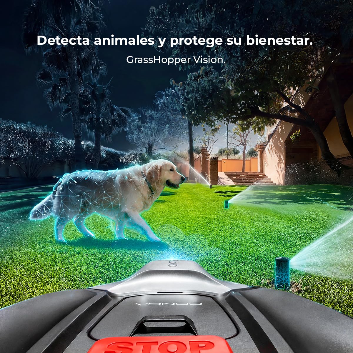 Cecotec Robot Cortacésped sin Cables - Reconocimiento de Objetos y Cámara Conga Grasshopper 800 ProAI. Autonomía hasta 800m², Corte Regulale Entre 30-60 mm, Control App, IPX5
