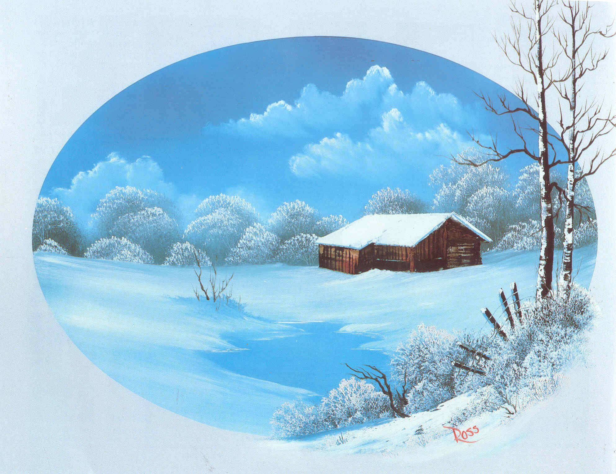 Amazon.co.jp: BOB ROSS INC. R011 ボブ・ロス ボブの絵画教室 11巻