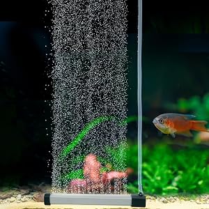Pet Supplies