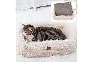 Scratch Lounge Cat Bed: Providing Comfort and Protection for Your Feline Friend