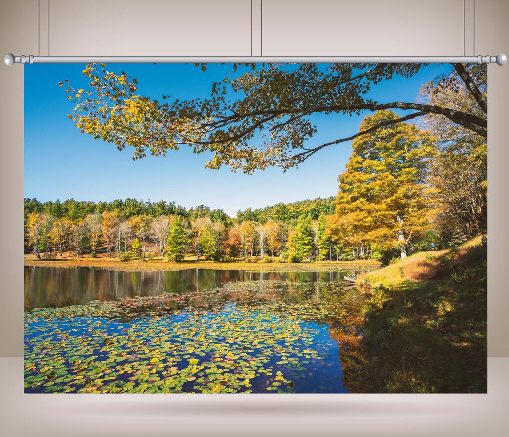 15x10FT (4.6x3m) Riflesso Lago Nella Foresta Sfondo Fotografico
