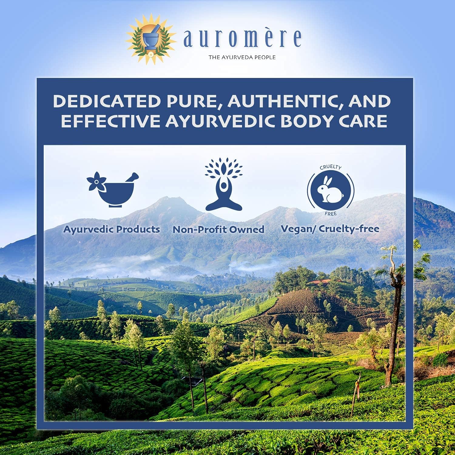 Auromere Ayurvedic Herbal Neem & Clove Toothpaste - All Natural Fluoride Free Toothpaste for Adults and Kids, Suitable for Sensitive Teeth, SLS-Free, Non GMO, Vegan, Cruelty-Free - 6 Pack