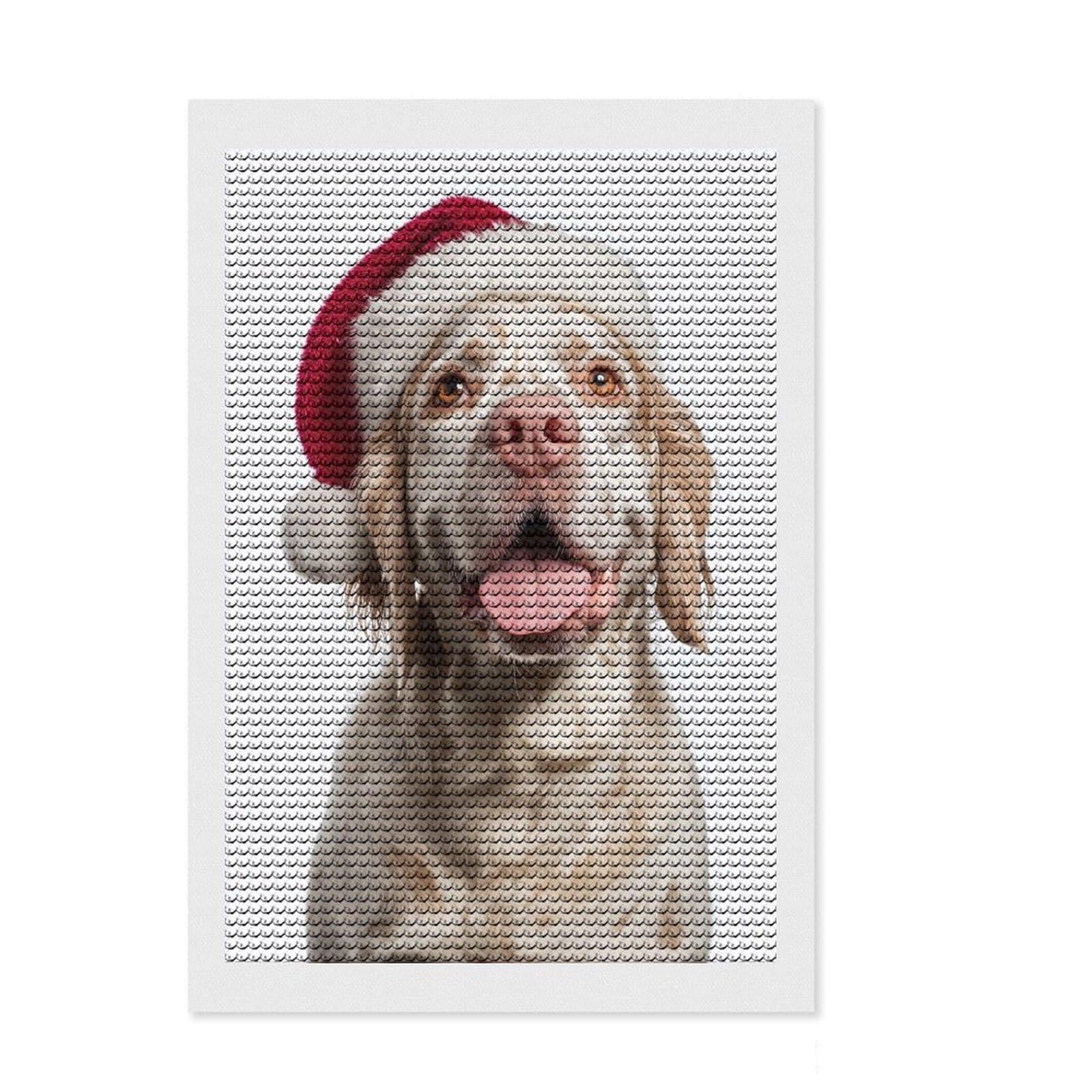 Junmoney Clumber Spaniel Dog with Santa Hat Portrait Full Drill Diamond Painting Kit 8"x12", Easy to Follow Symbols, Neat Printed Canvas, Creative Leisure Activity
