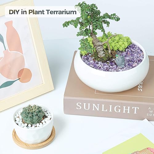 Miniatura 4 de T4U Piedras de cuarzo de cristal triturado, 2 libras, gravas de forma irregular, piedras curativas de guijarros, roca alisada para plantas en