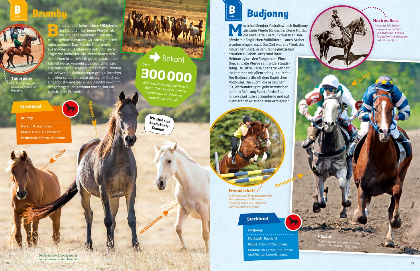 Was ist was: Pferde und Ponys: mehr als 100 Pferderassen und ihre Besonderheiten, über 650 Fotos!
