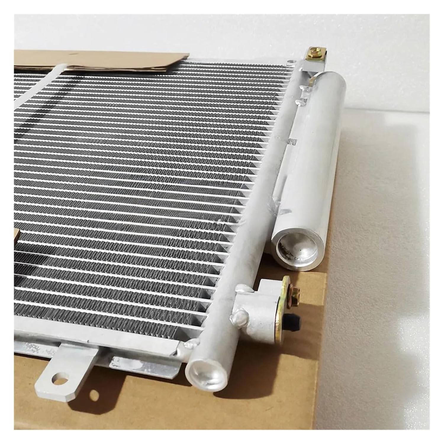 バールマルクスフレーム ディラセラータ コチップ 透明スリット鉢 登り