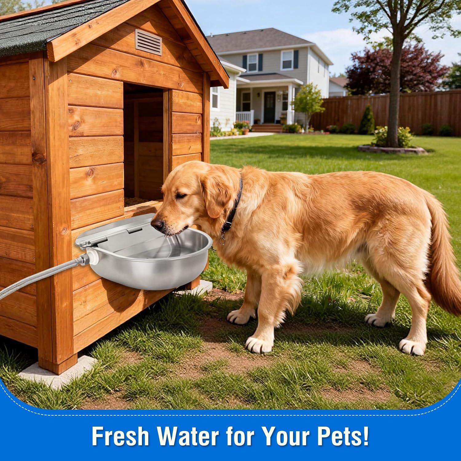 Automatic Animal Drinking Water Bowl with Float Valve,304 Stainless Steel Livestock Dispenser Waterer with Drainage Hole,Includes Water Bowl,3/4''Water Hose,2 Float Valves and Mounting Bolts (Style 2)
