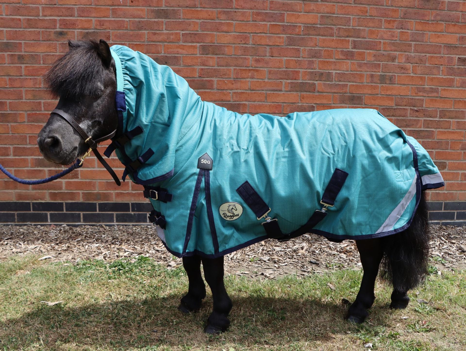 Ruggles Lightweight 50g Combo Turnout Rug for Shetland Section A Pony Donkey Miniature Horse | Waterproof/Breathable Teflon Coated Outer Fabric | Ideal for Milder Wet Weather (Teal, 4')