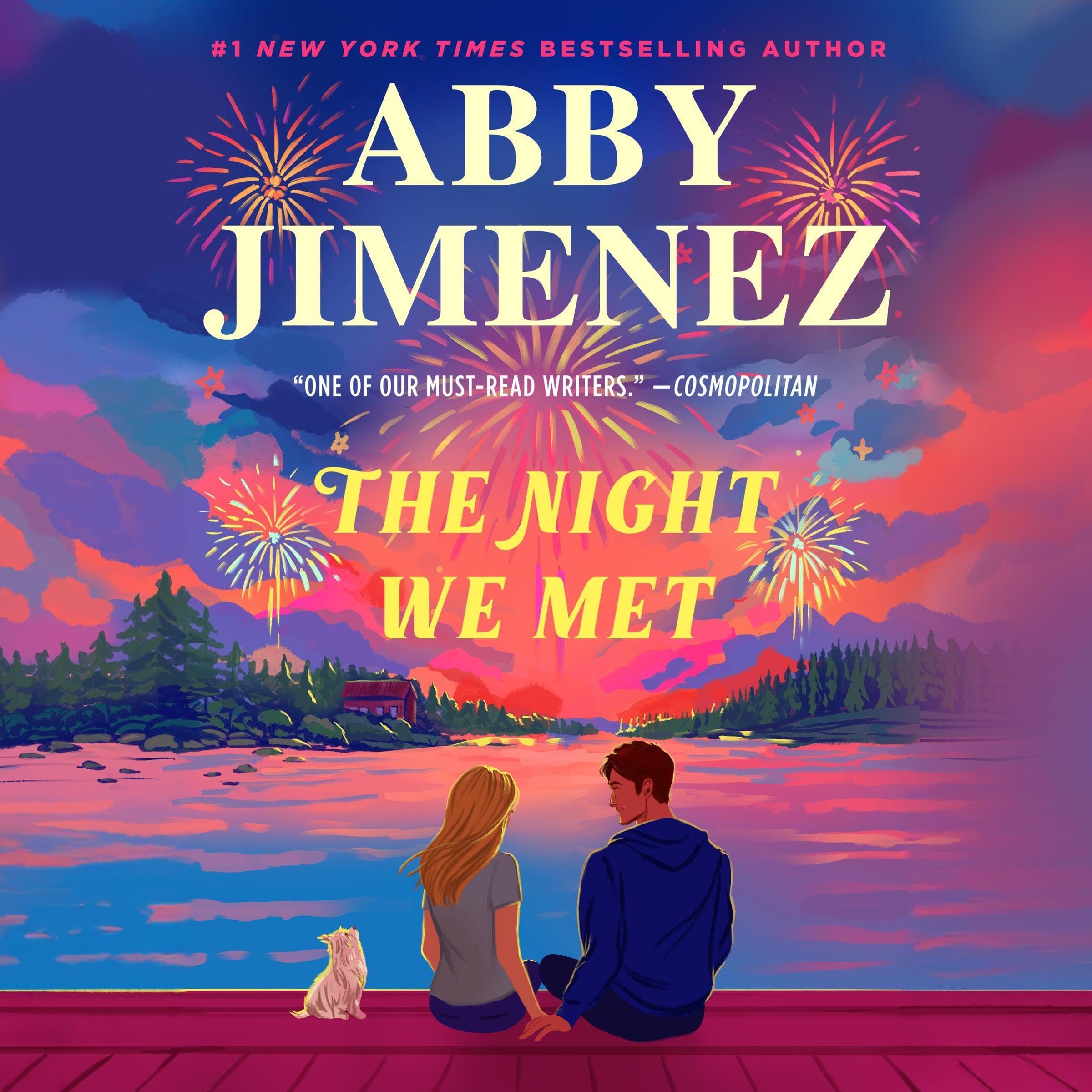 Cover art for The Night We Met