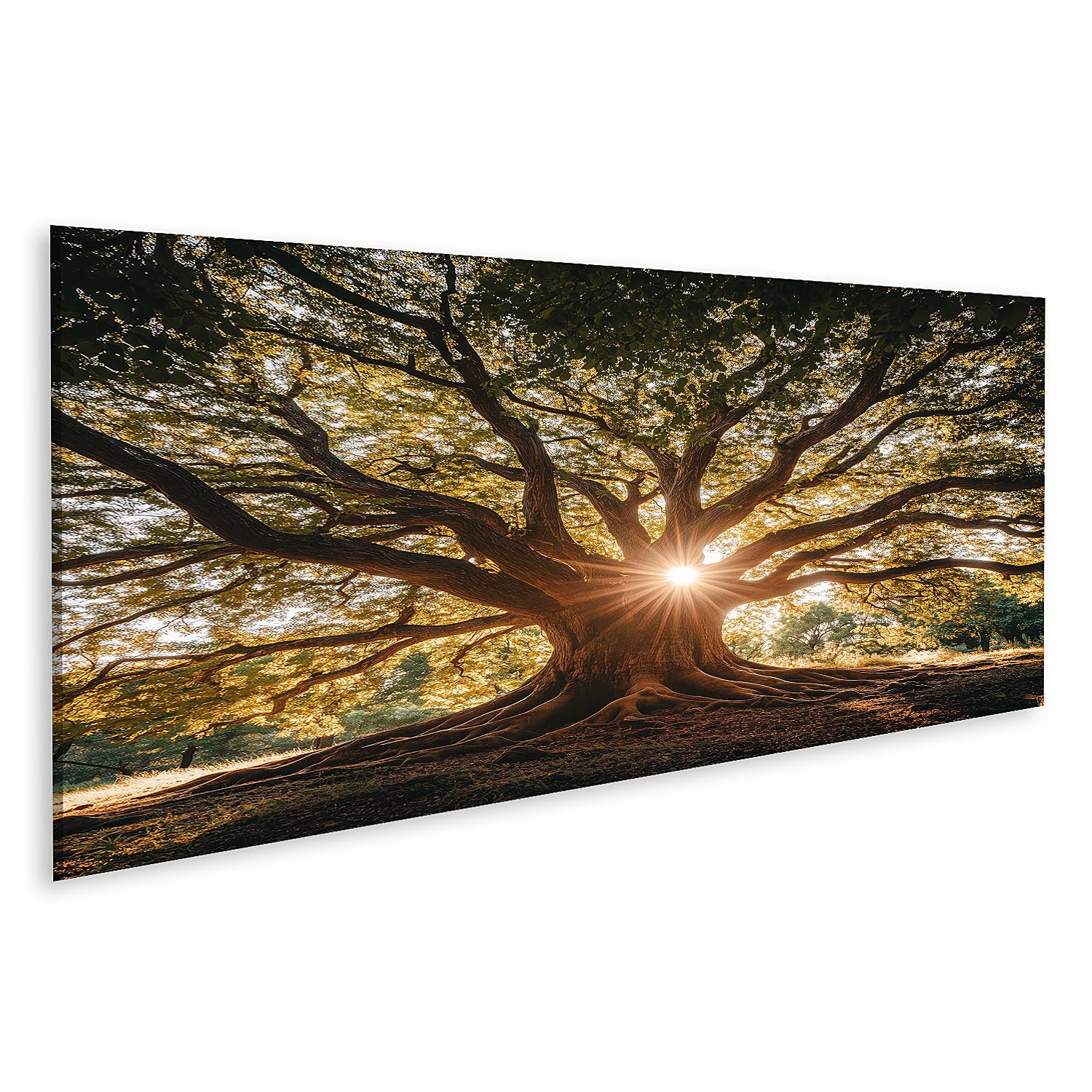 islandburner Cuadro sobre lienzo Árbol poderoso con rayos de sol - lienzo 120x40cm - Panorama