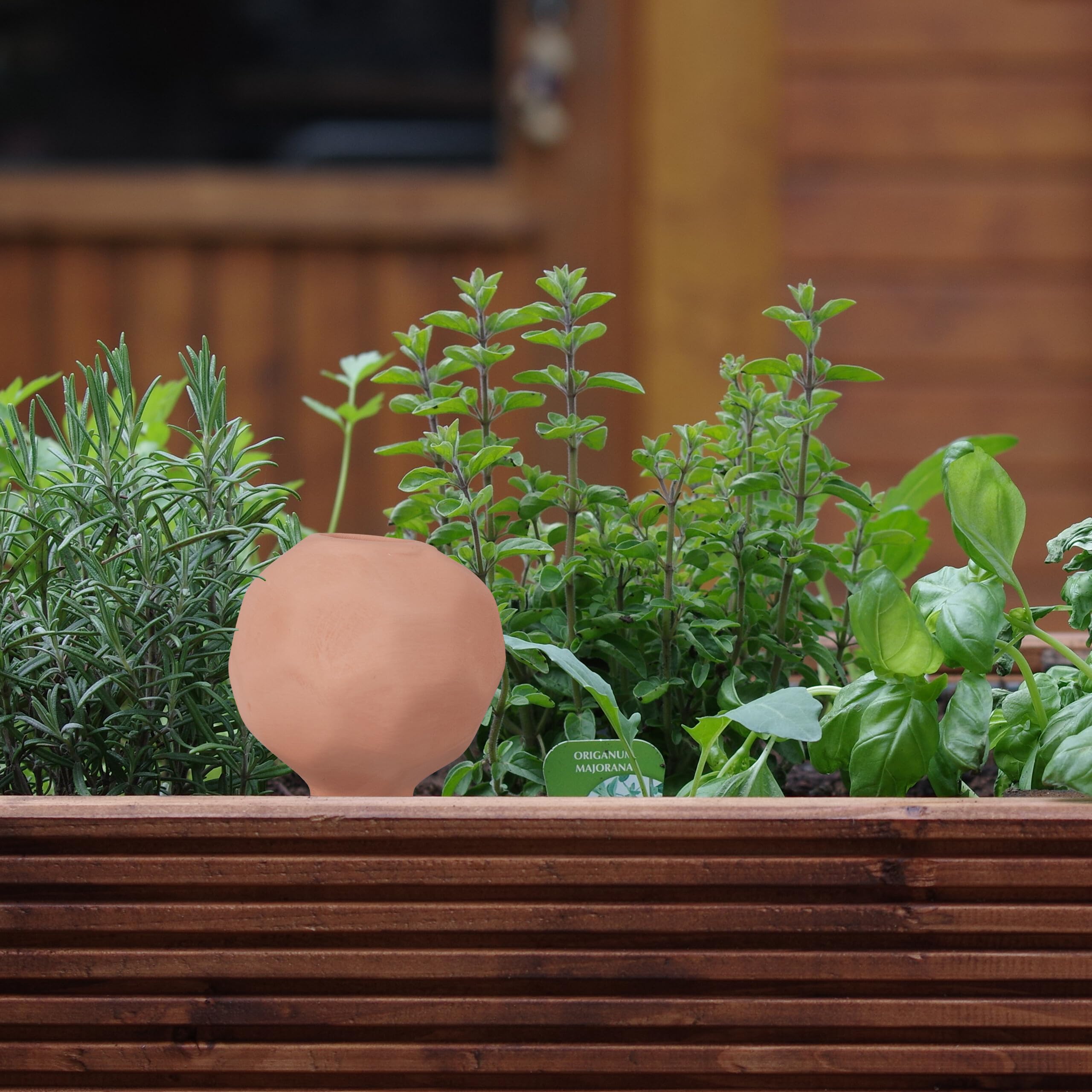 Set 6 Conos De Riego De Arcilla - Autorriego Lento Para Plantas En Macetas Y Jardineras | 60ml Capacidad Terracota