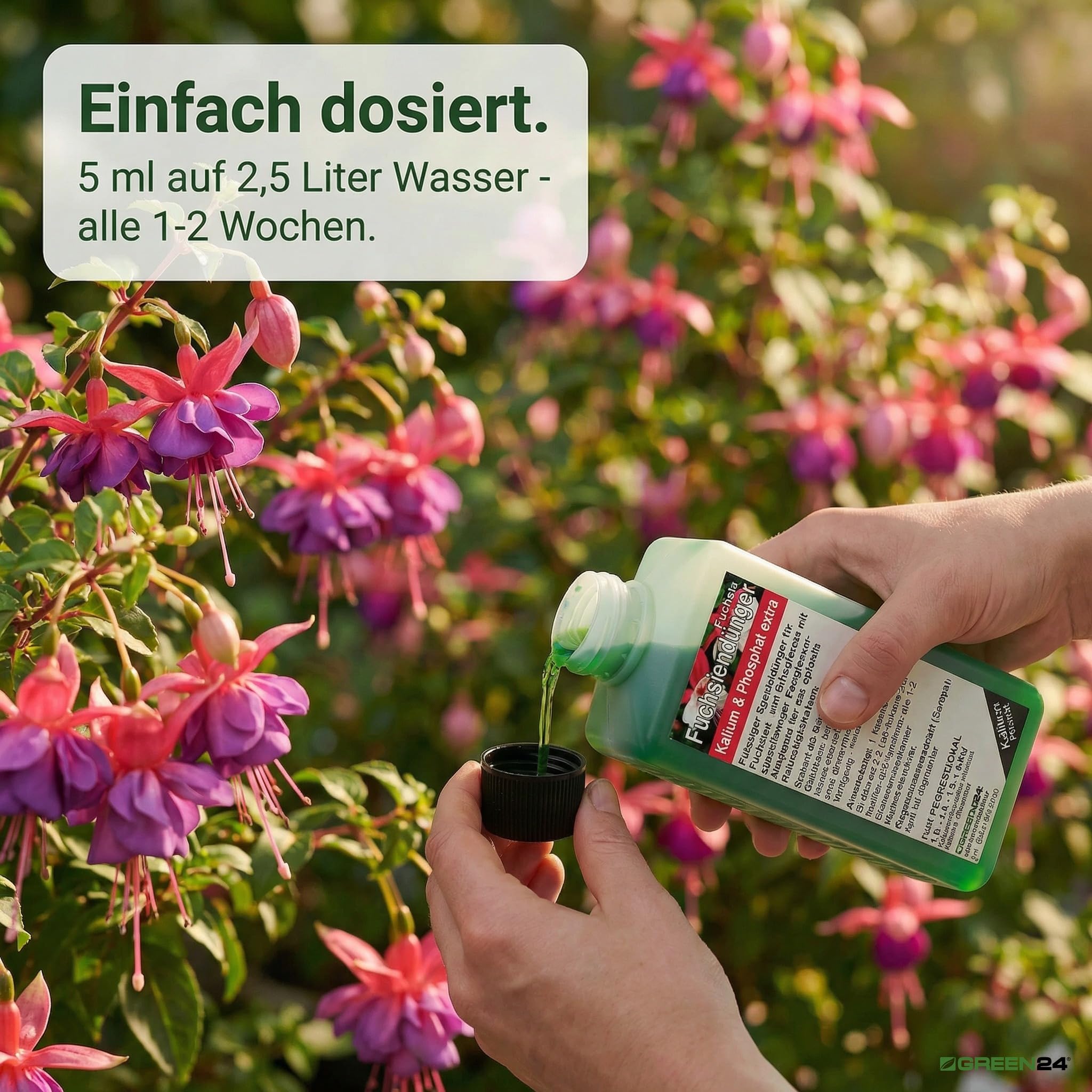 kiwibeere düngen Mini Kiwi-Flüssigdünger 500 ml main image 0