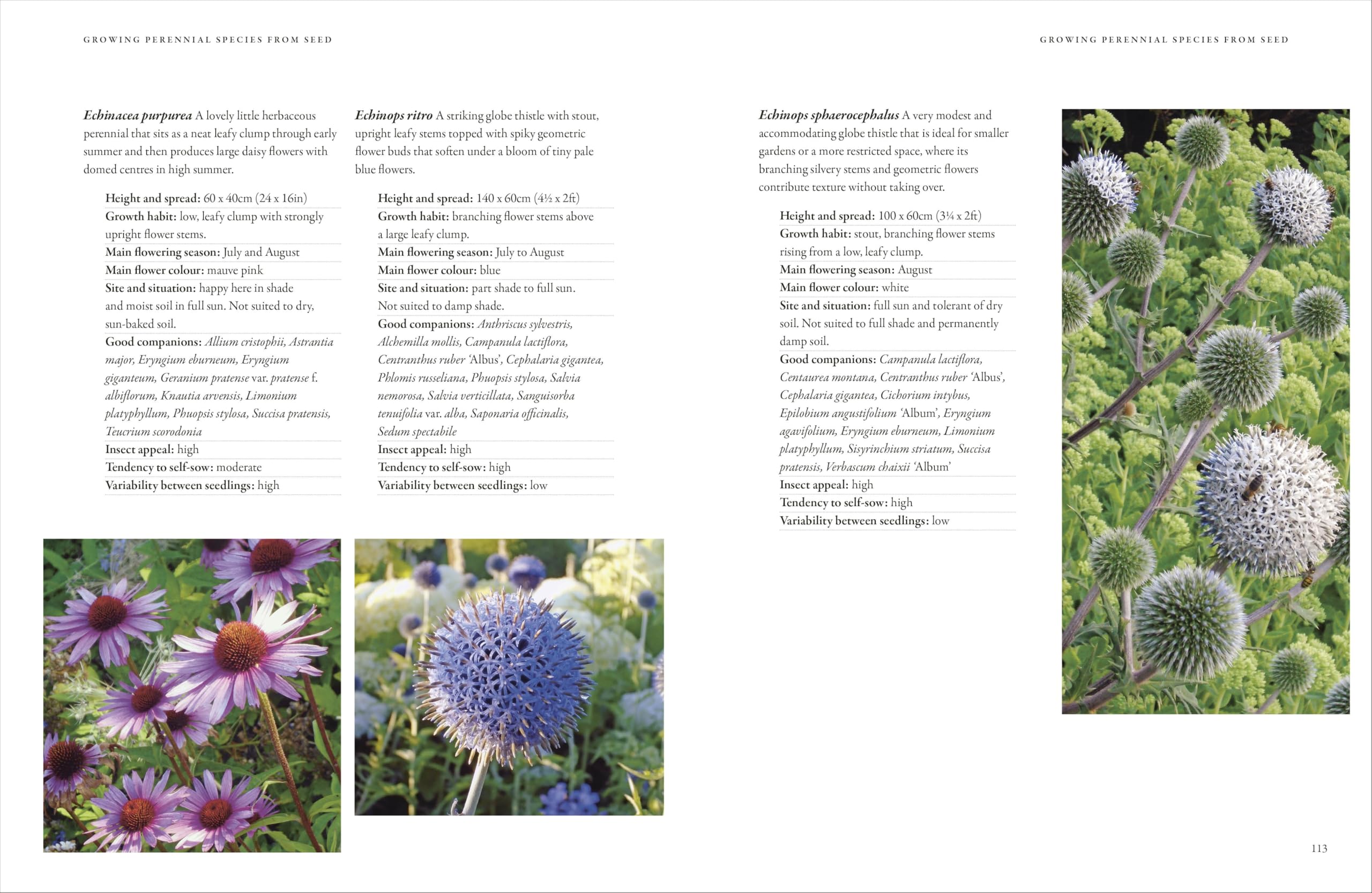 In Nature's Slipstream: How to Turn Your Garden into a Haven for Nature