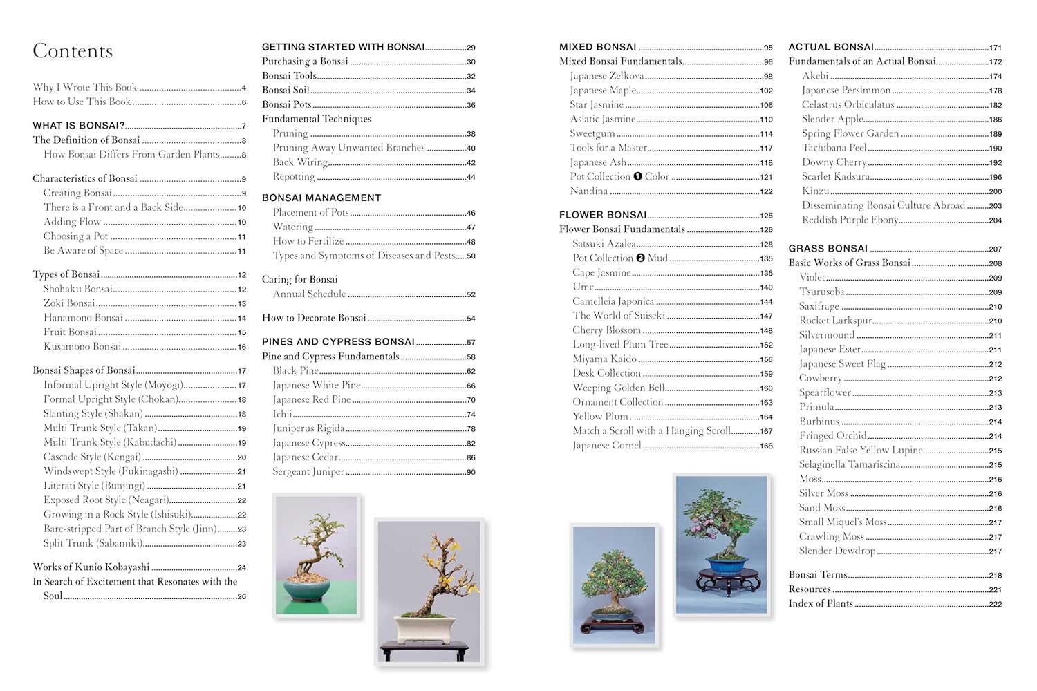 Bonsai Master Class: Lessons and Tips from a Japanese Master For All the Most Popular Types of Bonsai (With over 600 Photos & Diagrams)