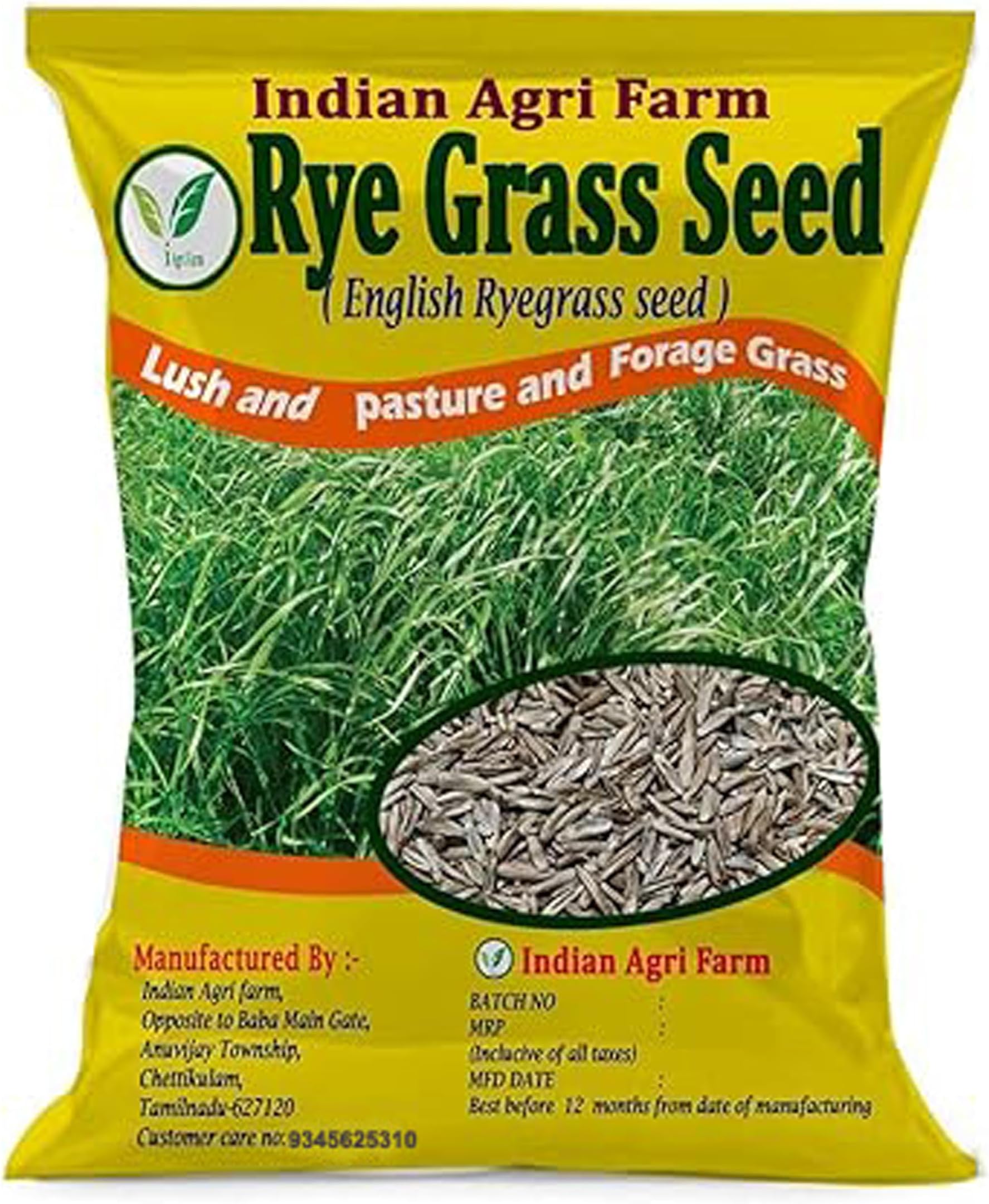 Iagrifarm Rye Grass Seed - 250 gram - Perennial Ryegrass (English Ryegrass seed) Fast Growing Grass for Lawn, Lush and Pasture and Forage Grass