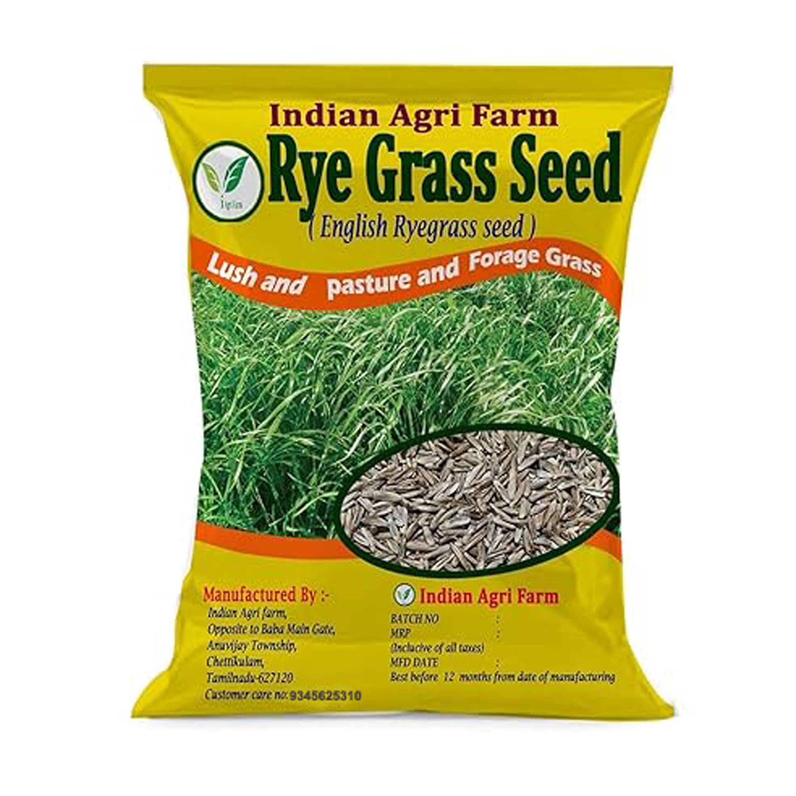 Rye Grass Seed - 250 gram - Perennial Ryegrass (English Ryegrass seed) Fast Growing Grass for Lawn, Lush and Pasture and Forage Grass