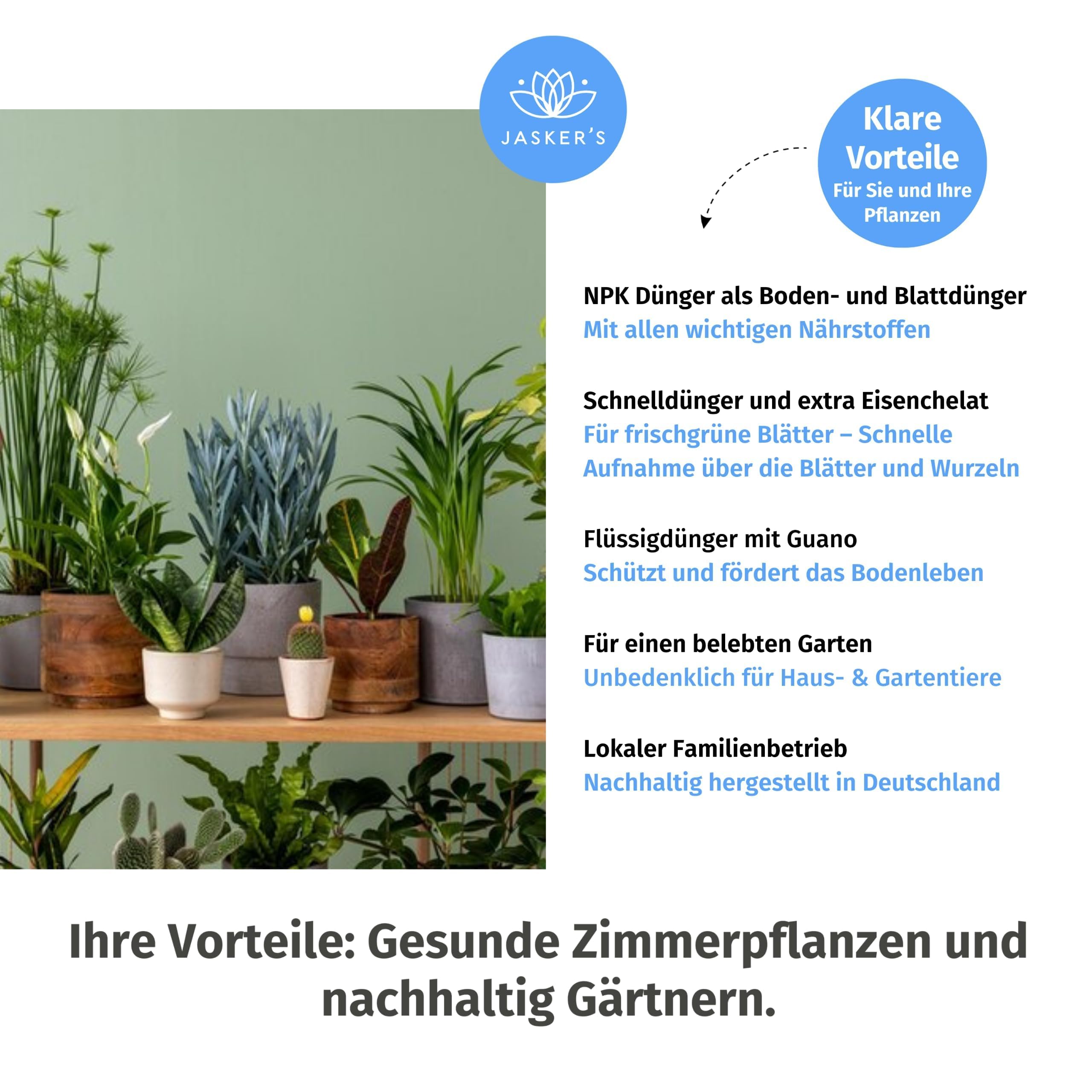 Bio Zimmerpflanzen Dnger flssig 3 Liter (3x1L) - Konzentrat Dnger fr  Zimmerpflanzen - 100% Schnelldnger - Flssigdnger fr 200 Liter  Giewasser - Bio Dnger Zimmerpflanzen : Amazon.de: Garten