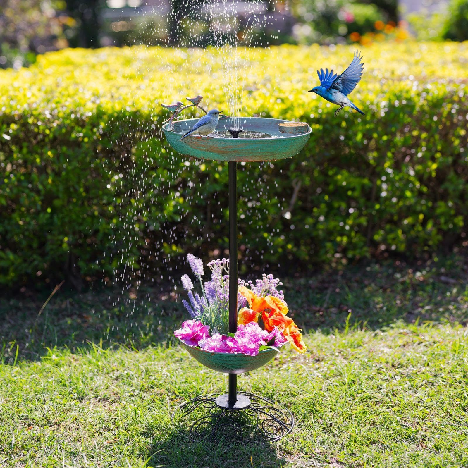Bagno per Uccelli da Giardino, Mangiatoia con Fondo Piatto, per