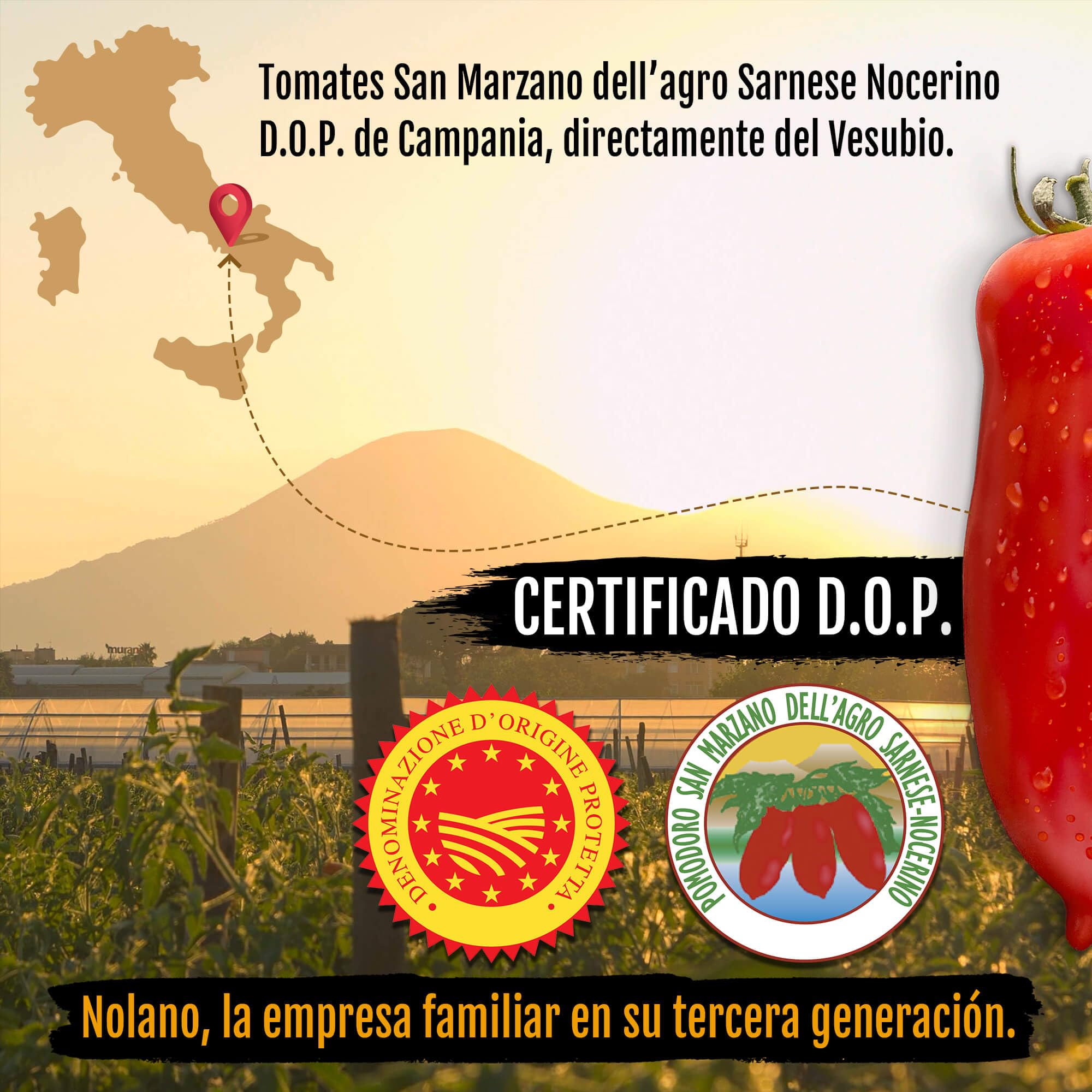 DELICRET - 12x 400g NOLANO Tomate San Marzano DOP en lata | enteros y pelados | los auténticos tomates para pizza | la reina de los tomates (12x 400g)