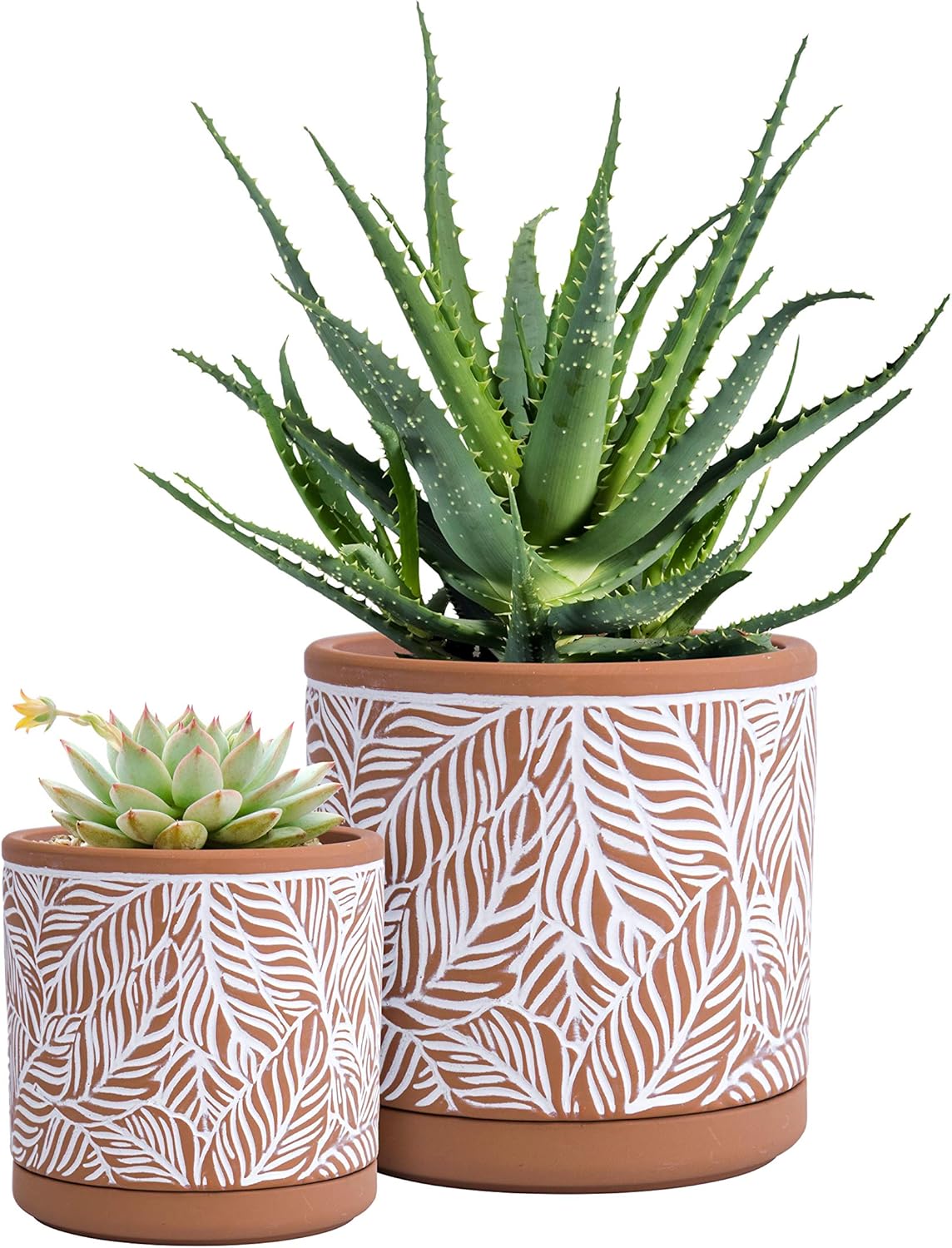 D'vine Dev Set of 2 Terracotta Pots, Leaf Pattern Planter Pot, 4 Inch and 6 Inch, Pot with Drainage Hole and Saucer, Terracotta/White, 31-958-T-1