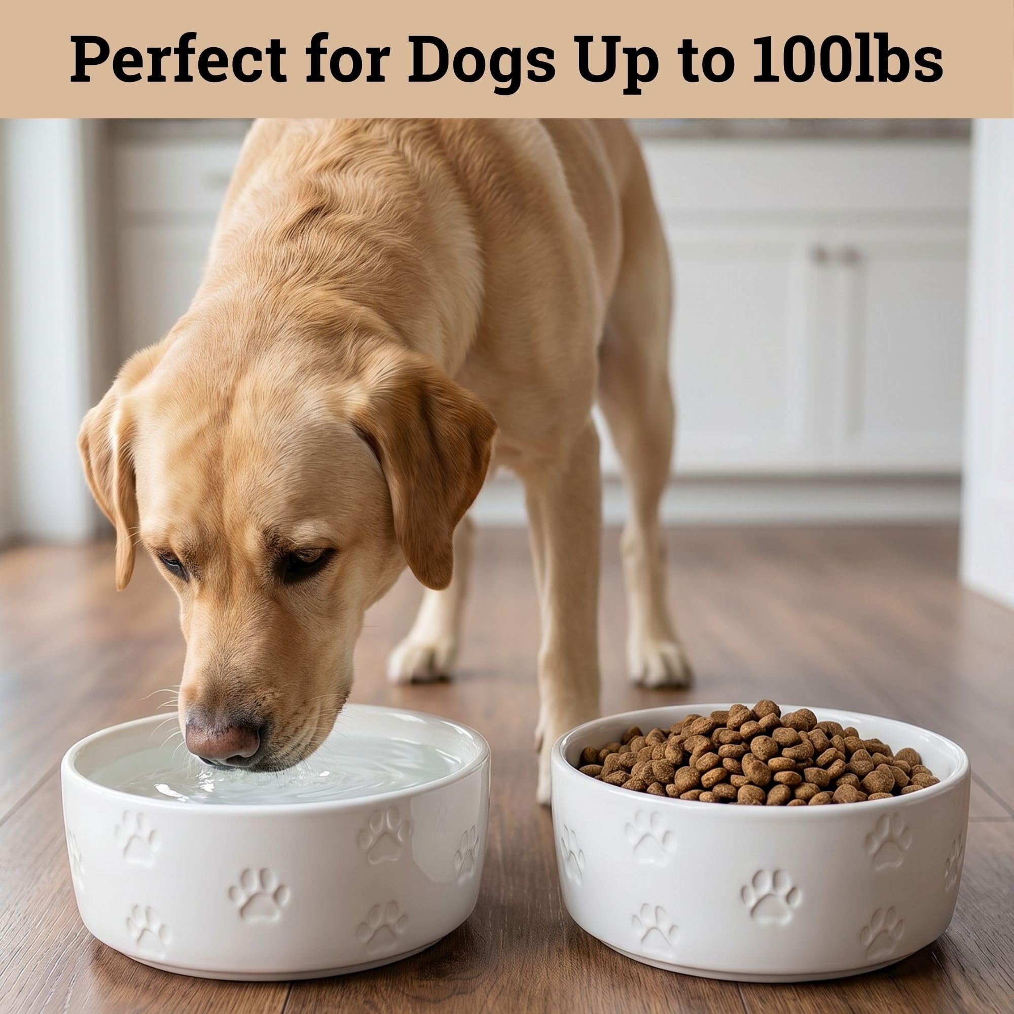 Ceramic Dog Bowl Set of 2 with Anti-Skid Base - 7.5