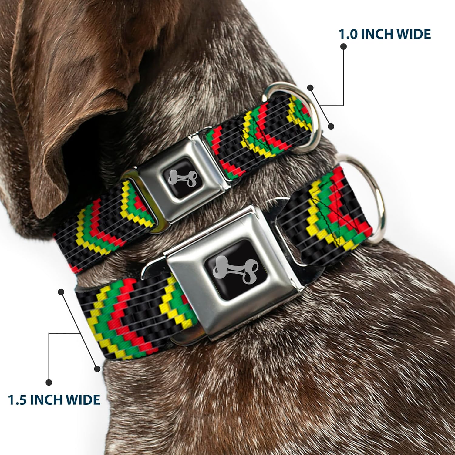 Buckle-Down Seatbelt Buckle Dog Collar - Chevron Weave Black/Rasta - 1" Wide - Fits 15-26" Neck - Large