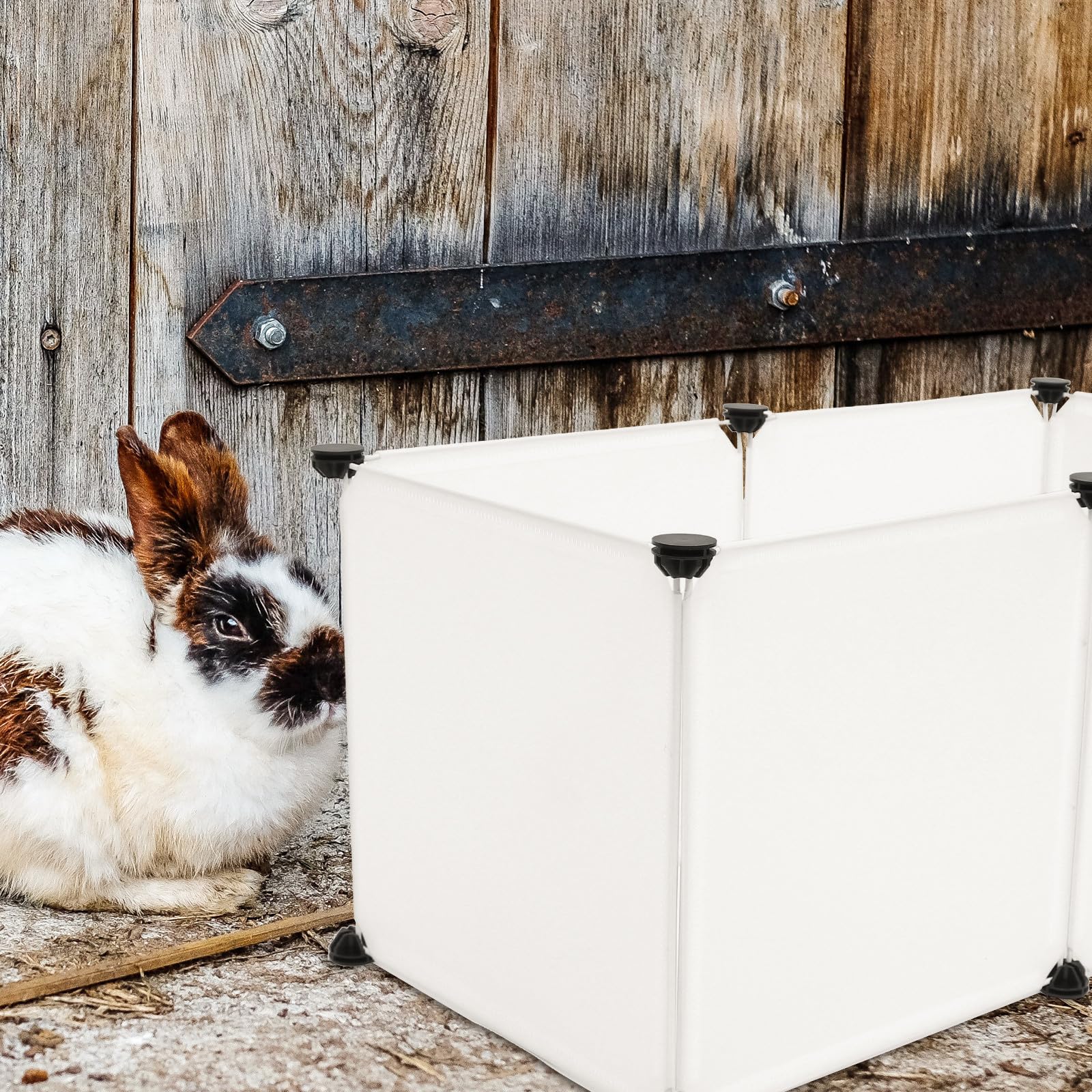 Abaodam Cage pour Petits Animaux en Résine Blanche, Maison pour Hamster et Lapin, Simple Style 6 Panneaux pour Aire de Jeu Extérieure